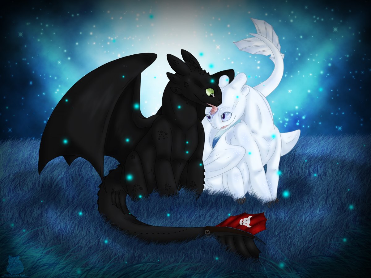 Ночная фурия и дневная фурия любовь