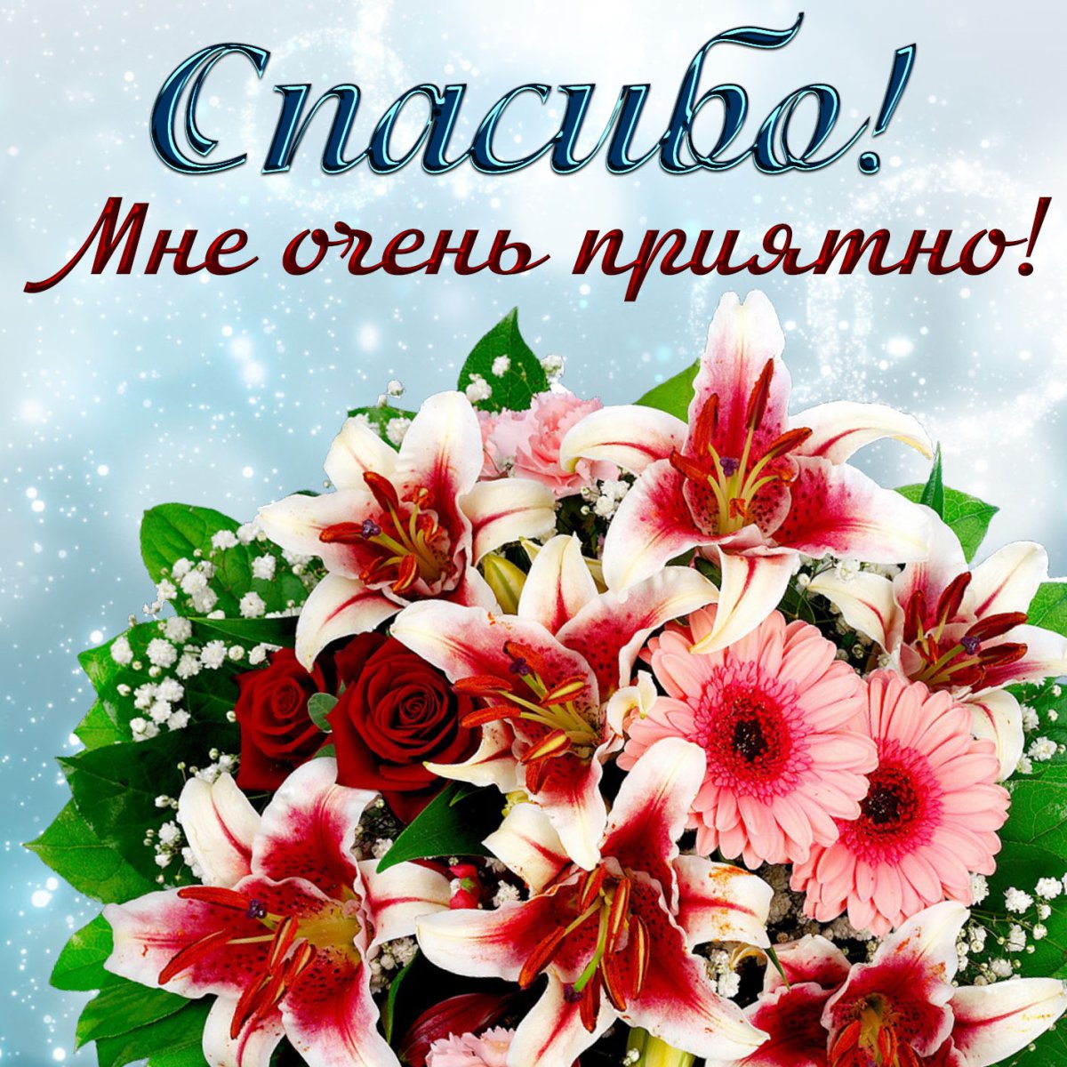 Благодарю за поздравления