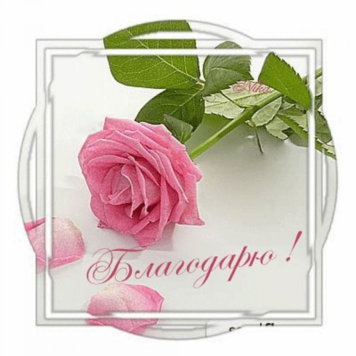 Спасибо большое за поздравления