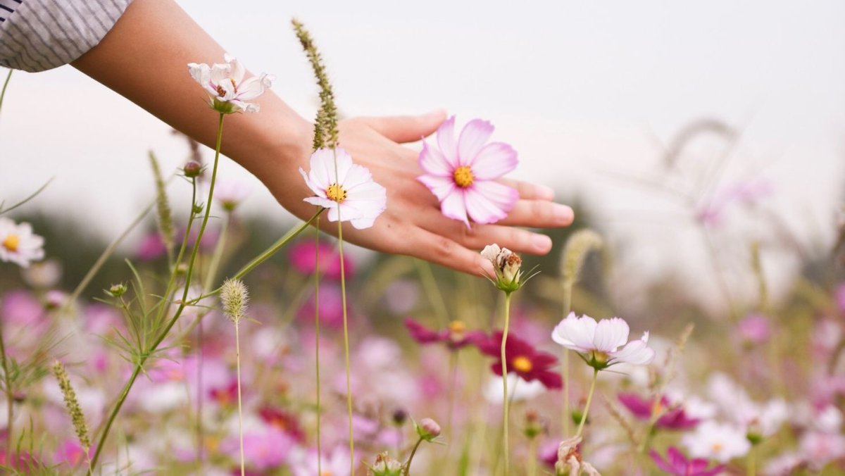 Цветок на руку.