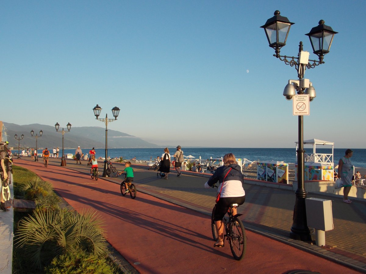 Сочи парк гостиница богатырь