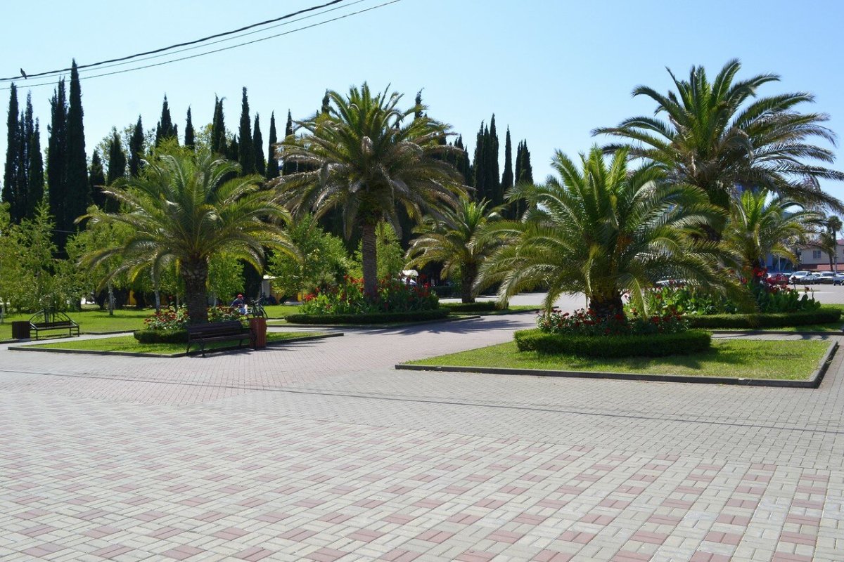 Платановая аллея Сочи