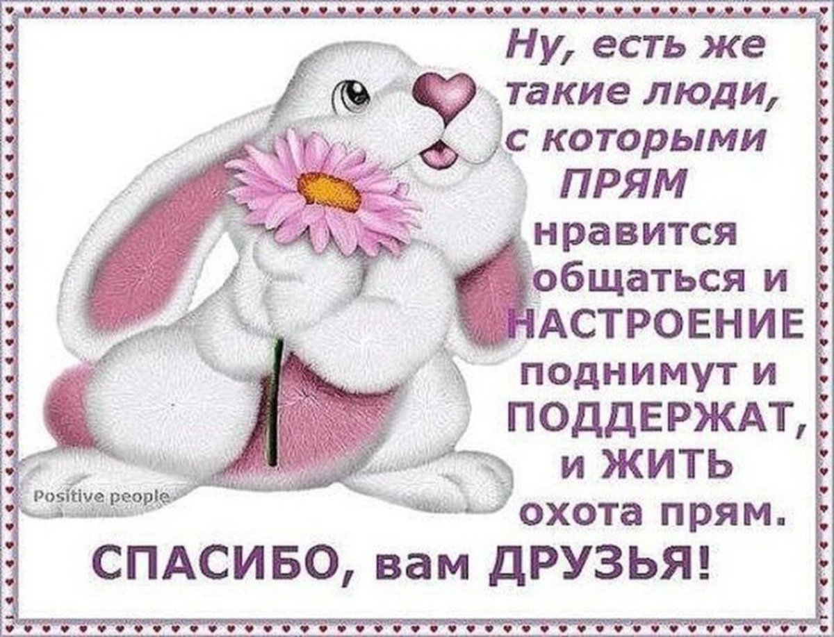 Гулять с собакой смешное