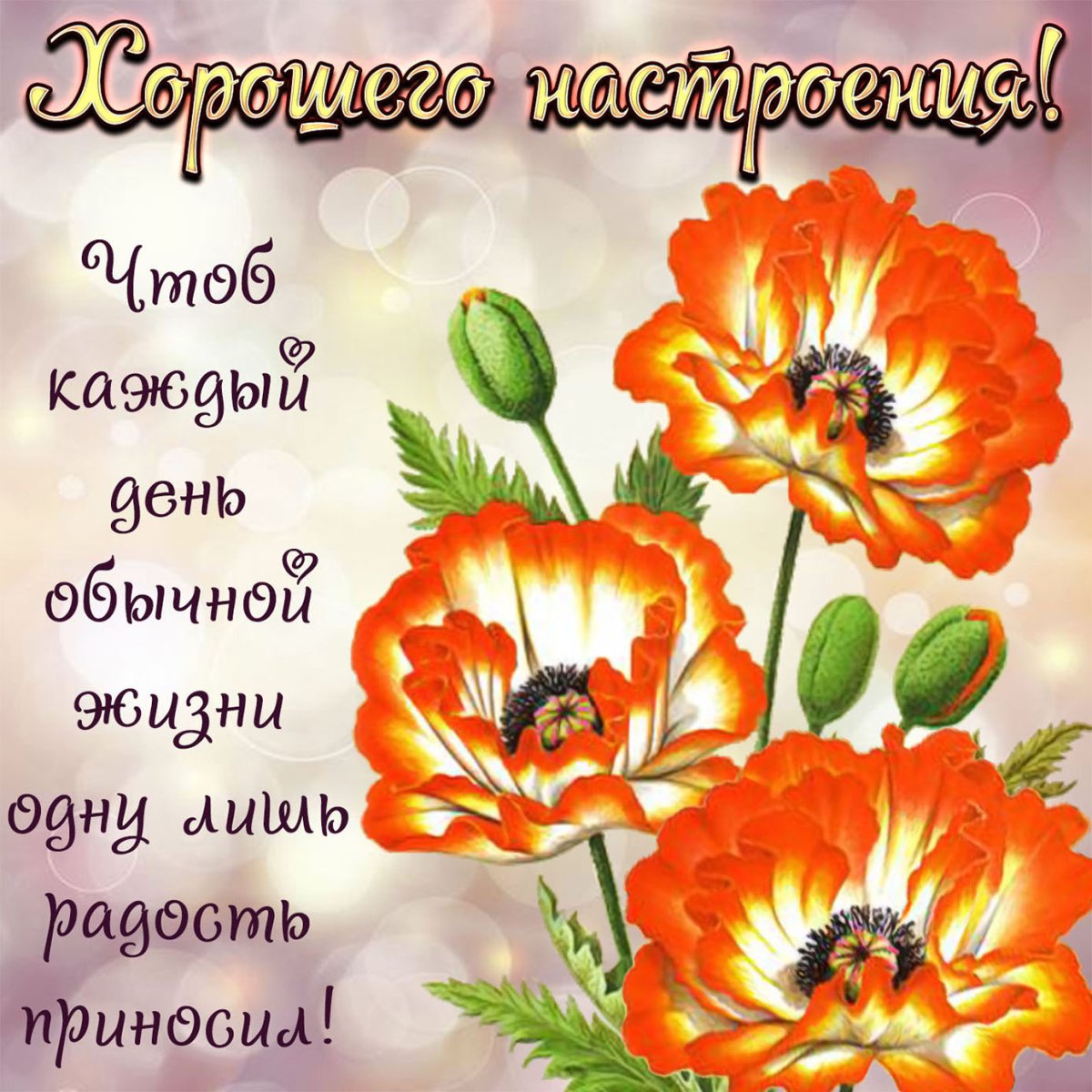 Позитивные высказывания