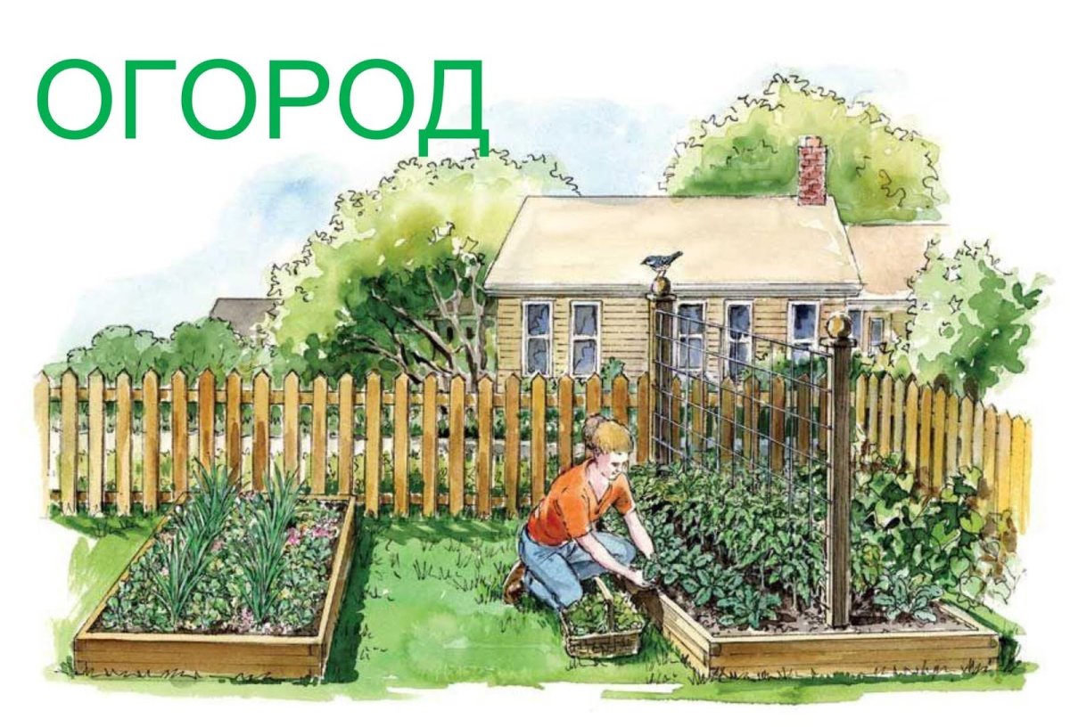 Нарисовать огород