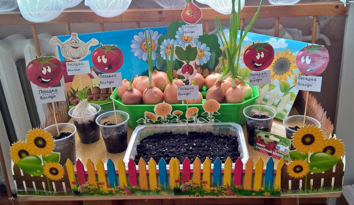 Таблички для огорода на подоконнике