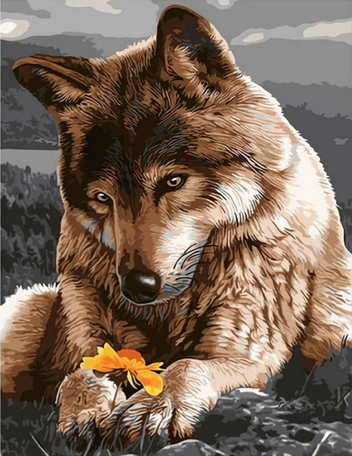 Фиолетовый волк