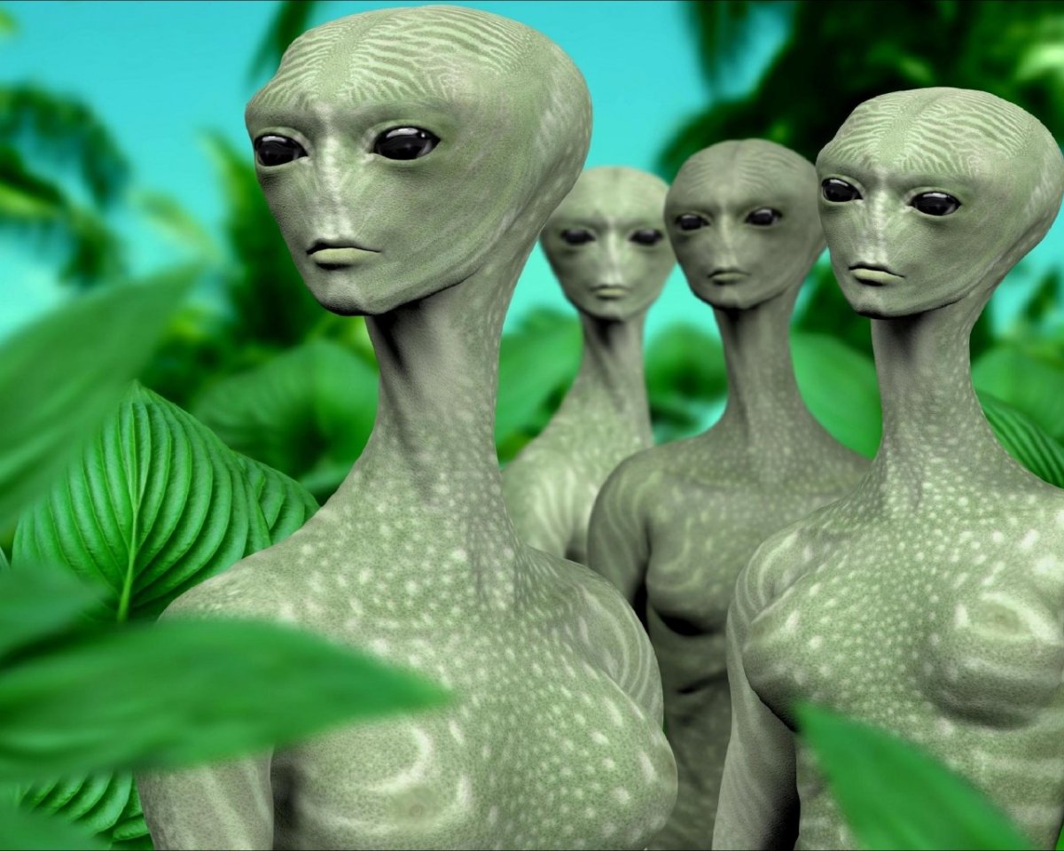 Симиас инопланетянка инопланетянка