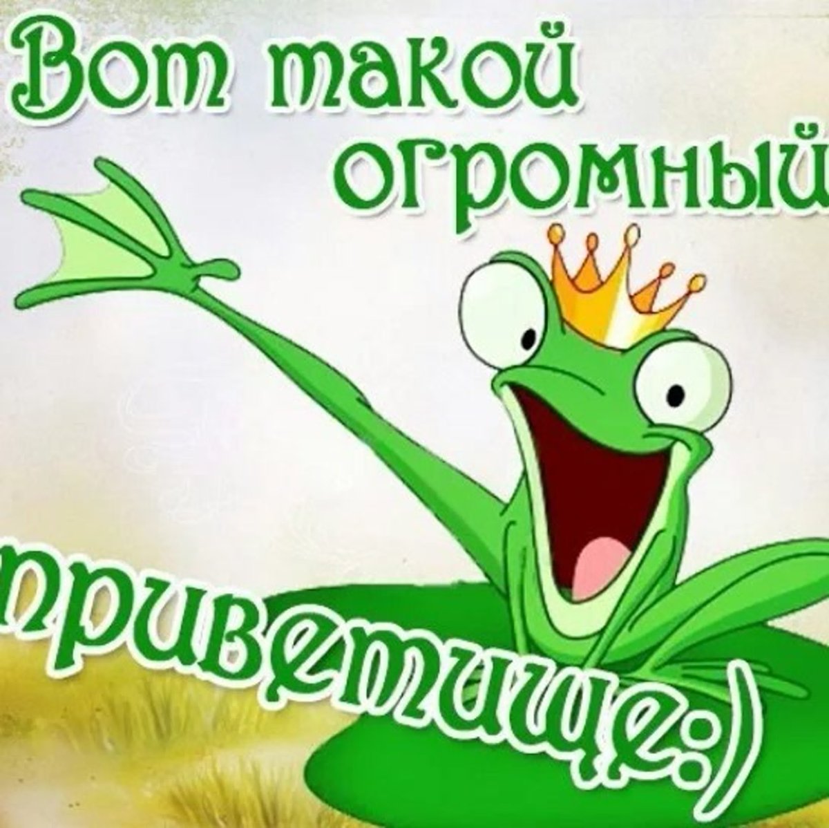 Грустный верблюд