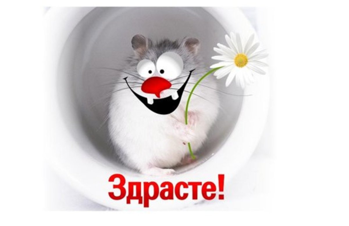 И снова здрасте