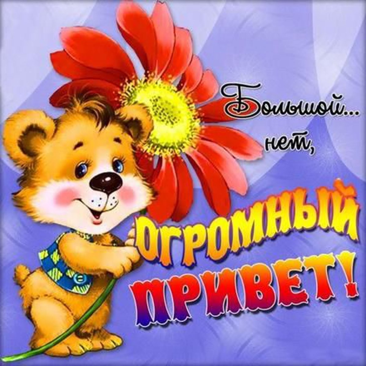 Приветик картинки прикольные