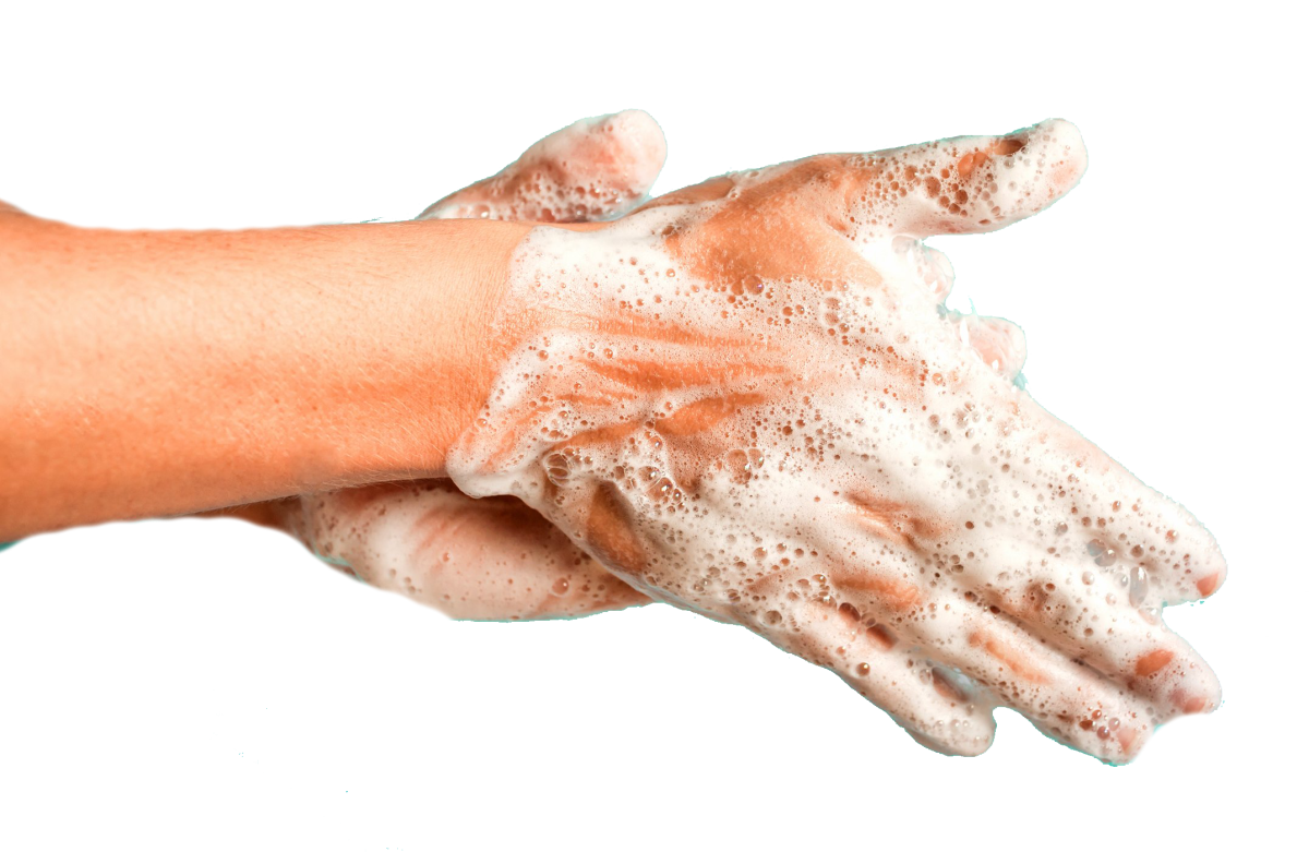 Чистота рук