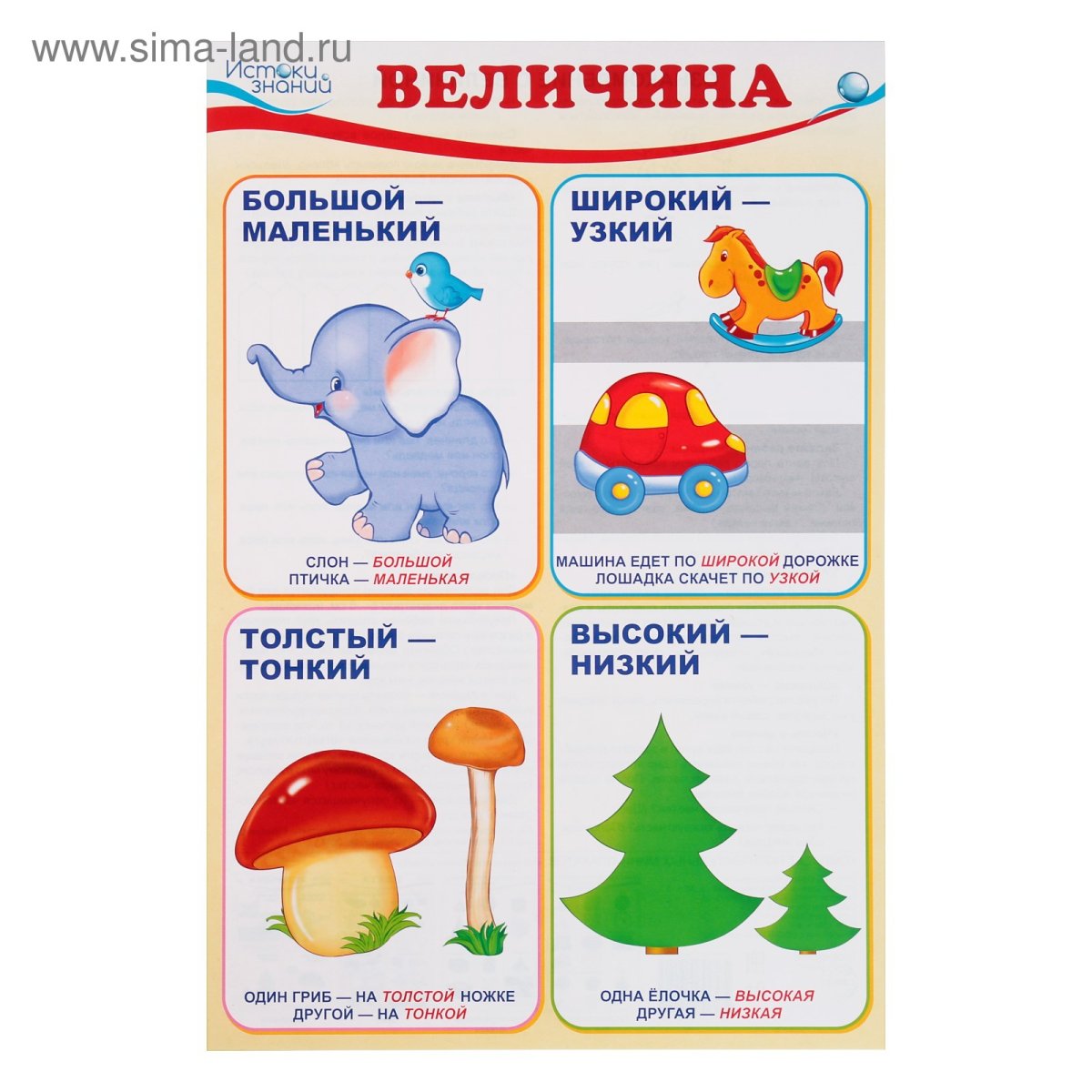 Величина для дошкольников