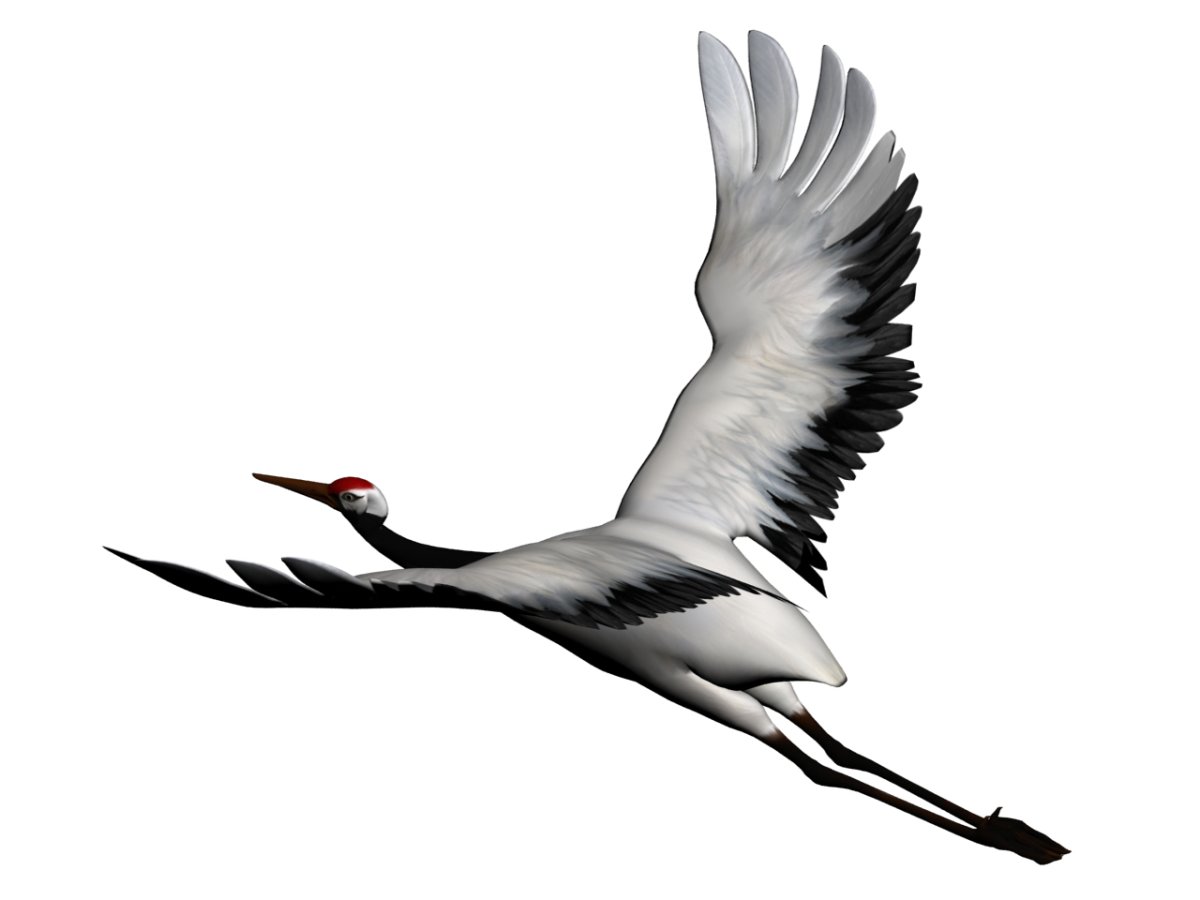 Геншин Журавли модель