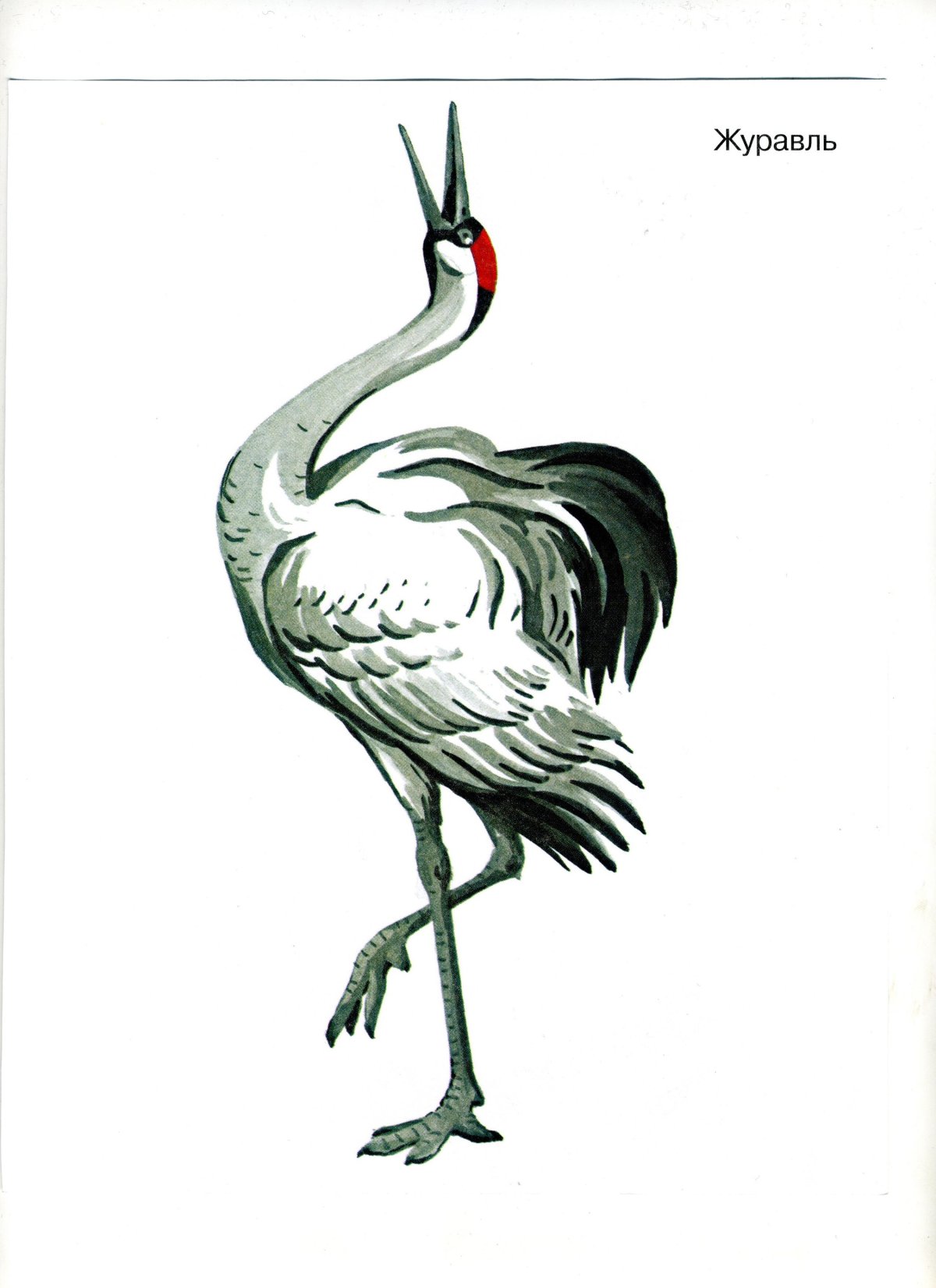 Журавл живопись Япония