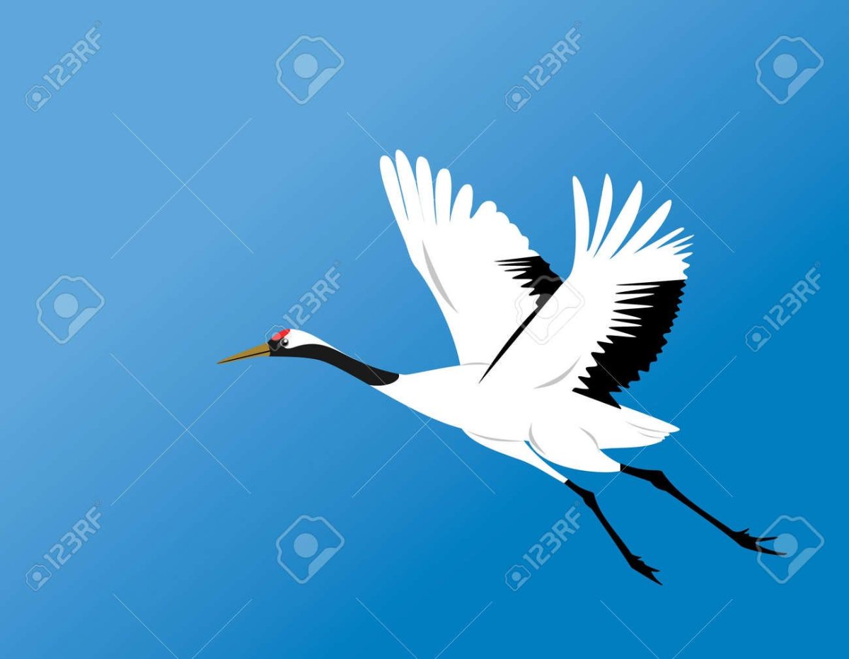 Журавль в полете