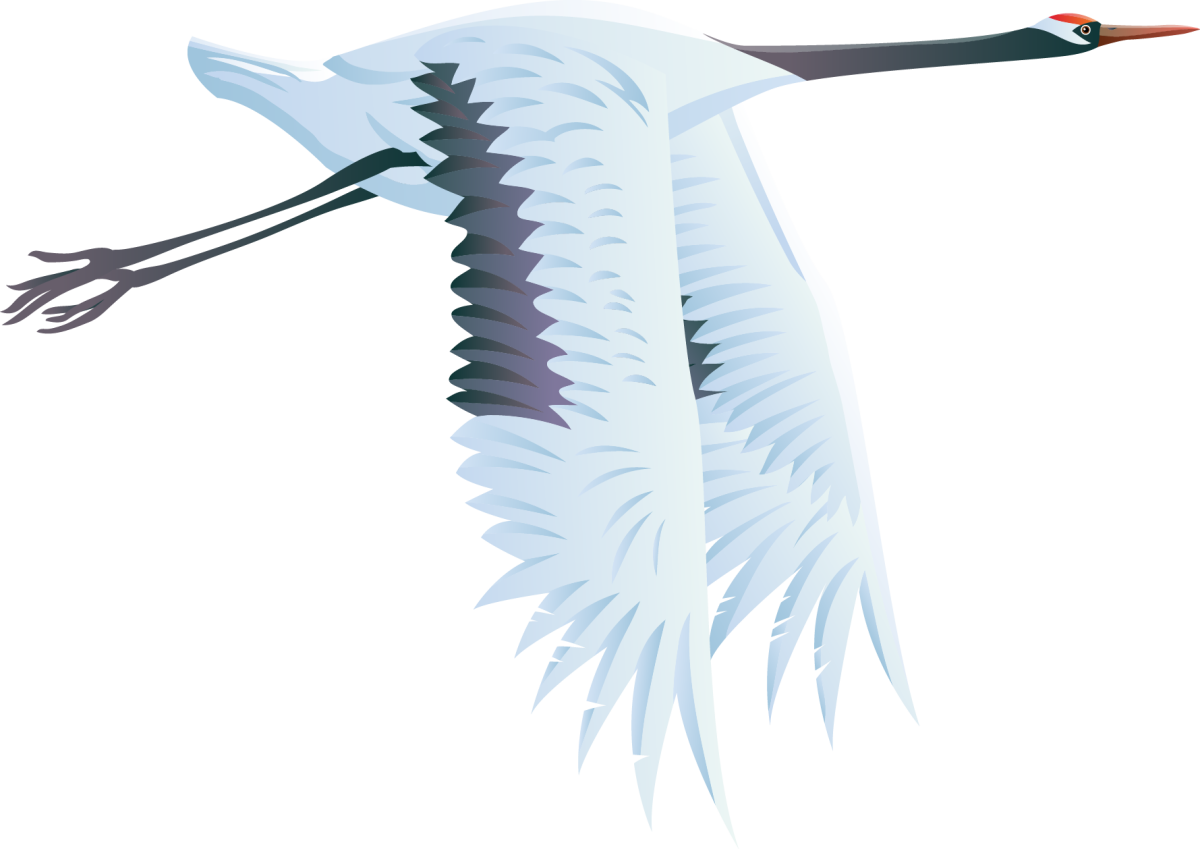 Журавль рисунок