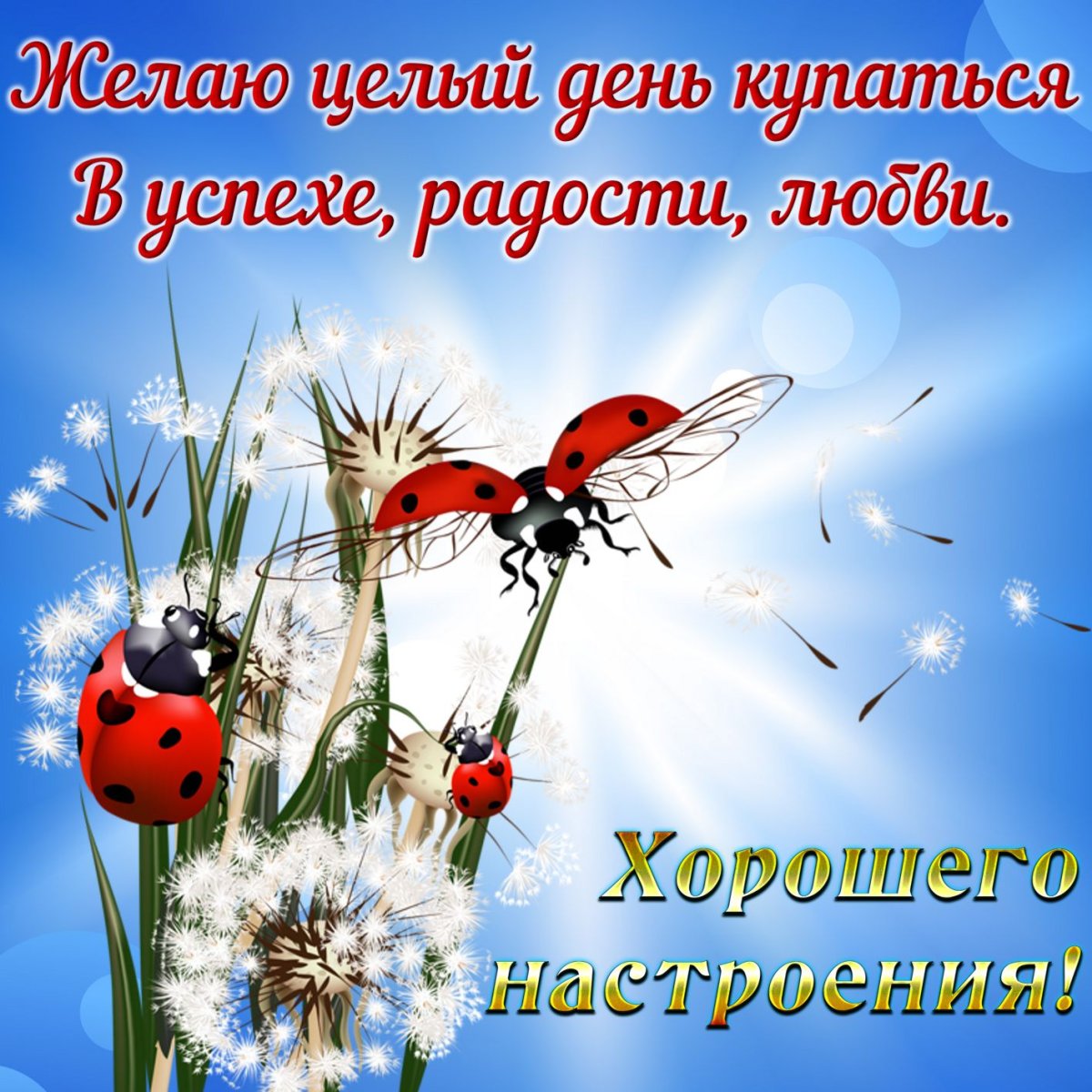 Добрые пожелания