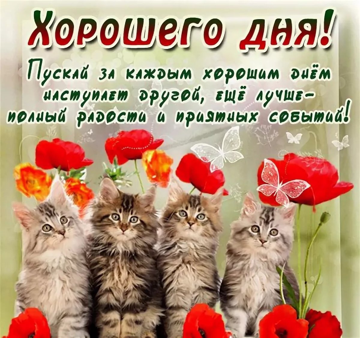 Хорошего субботнего дня и отличного настроения