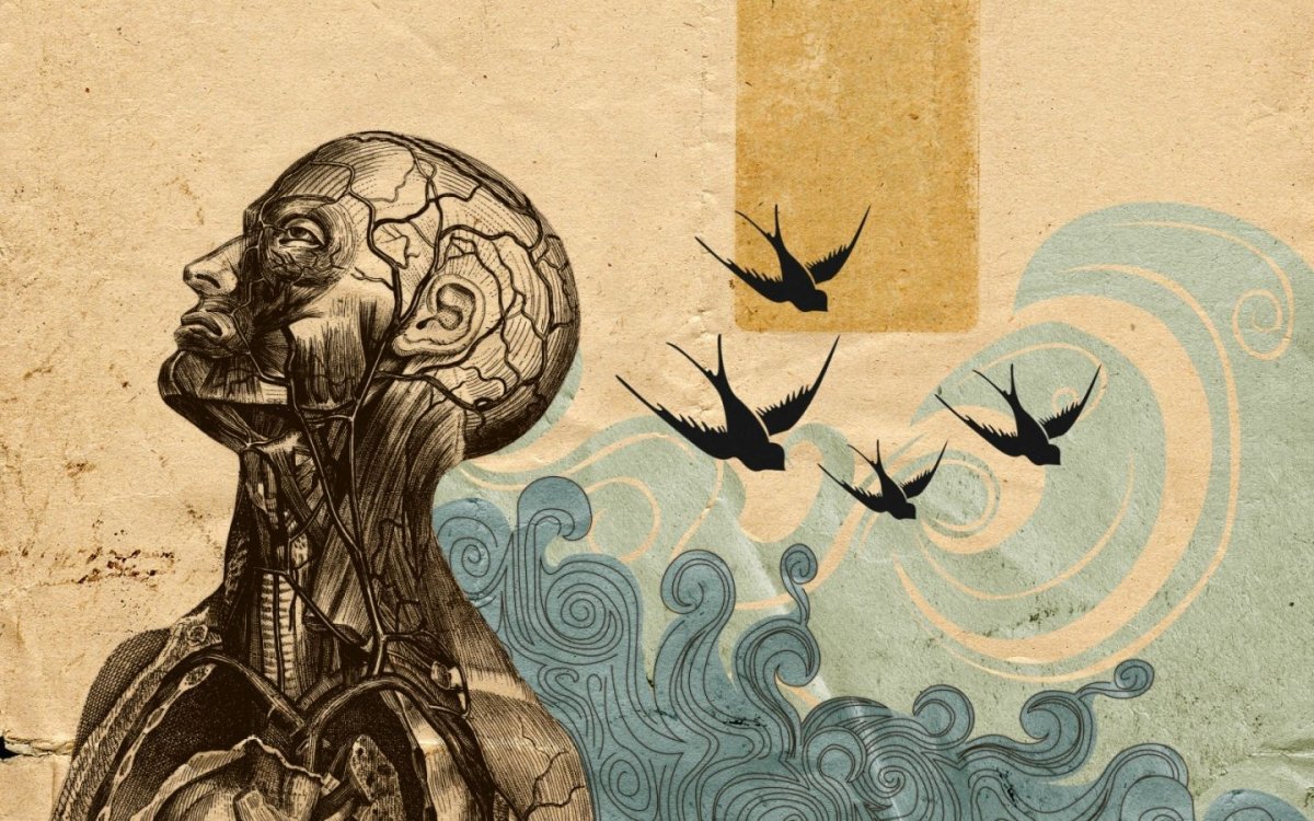 Философские иллюстрации