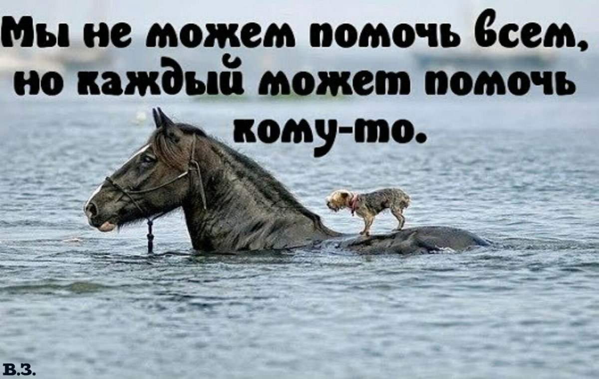 Картинки с надписями со смыслом прикольные