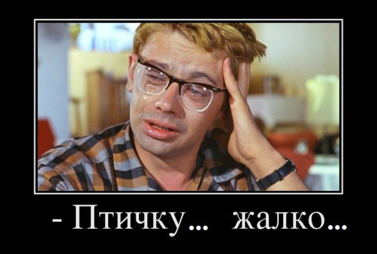 Что ж птичка