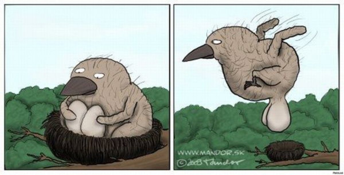 Птица мозгоклюйка