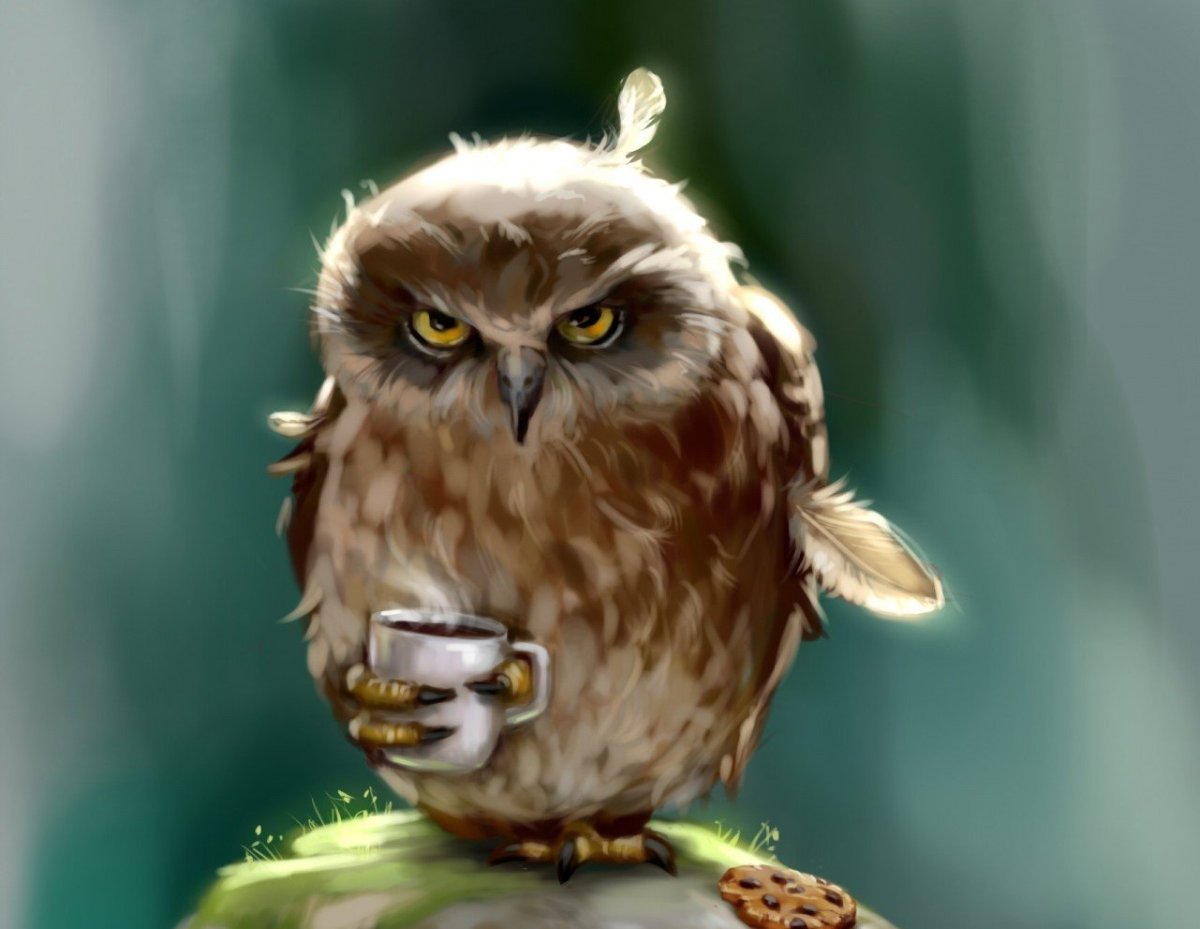 Сонная Сова