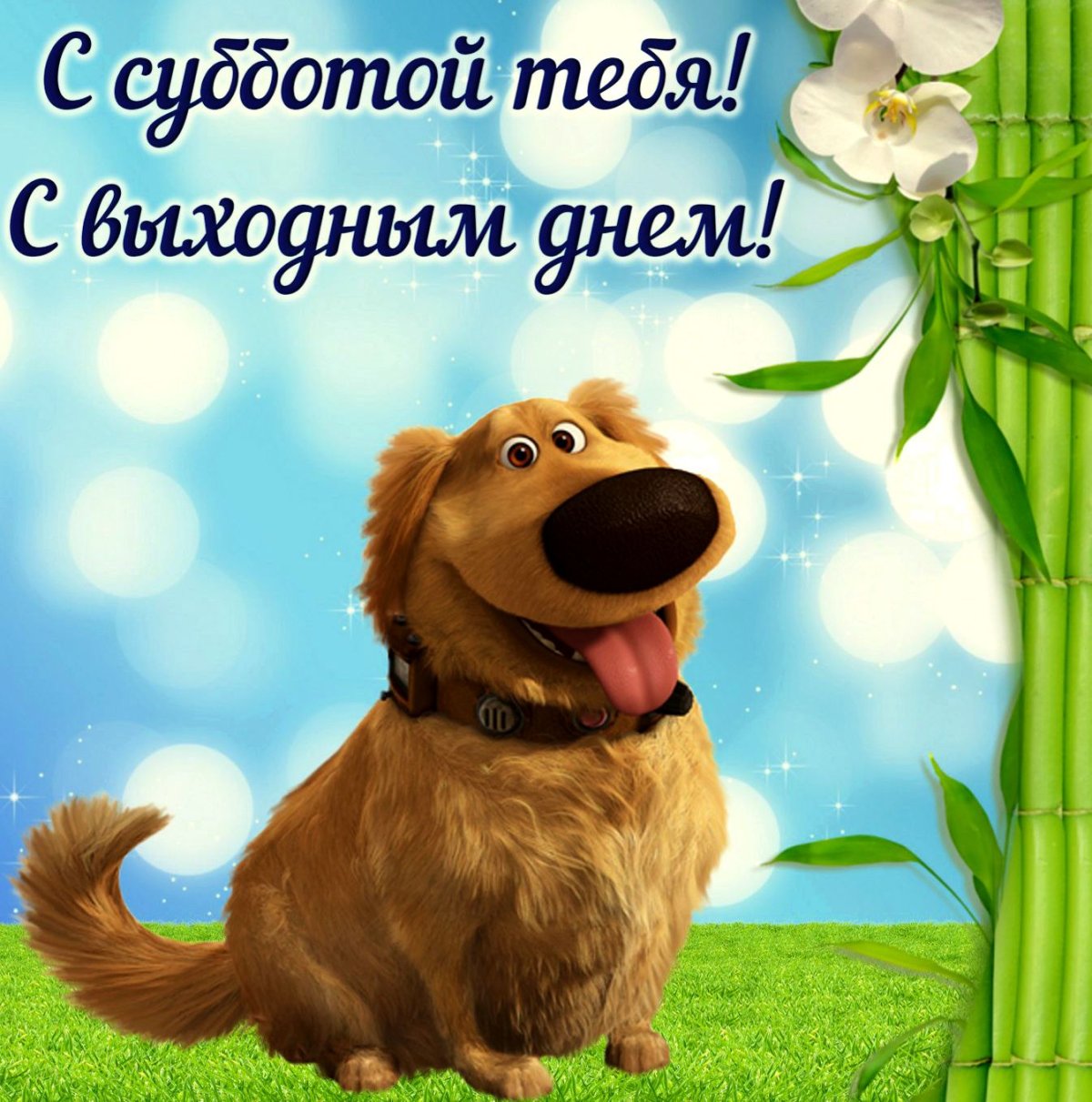 Открытки поздравления с субботой