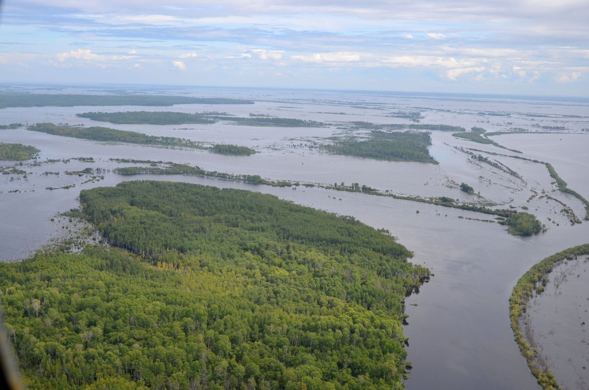 Река Уссури Амур Обь