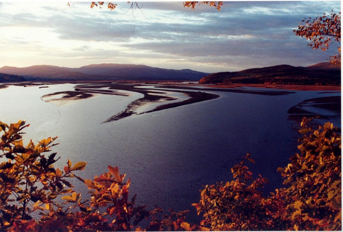 Дальний Восток река Амур