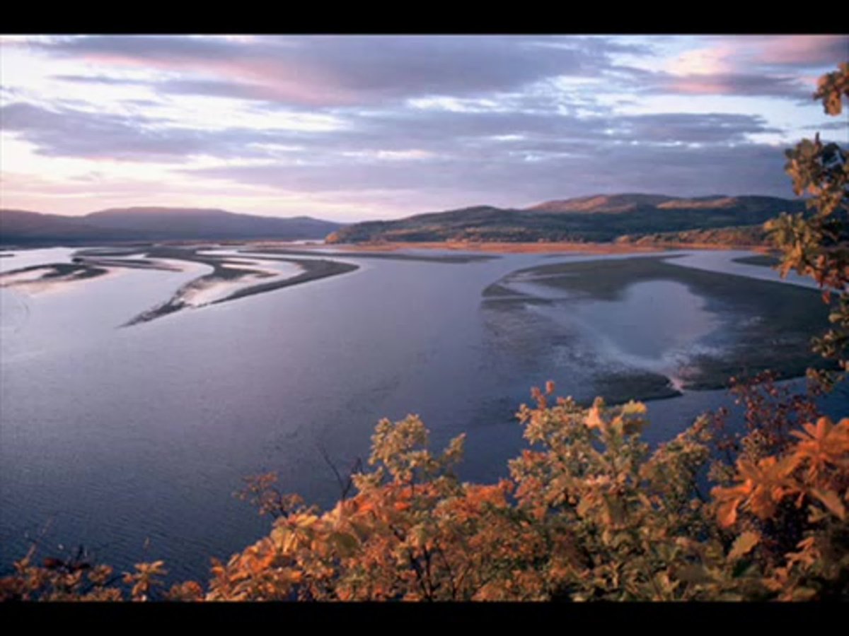 Комсомольский заповедник Хабаровский край