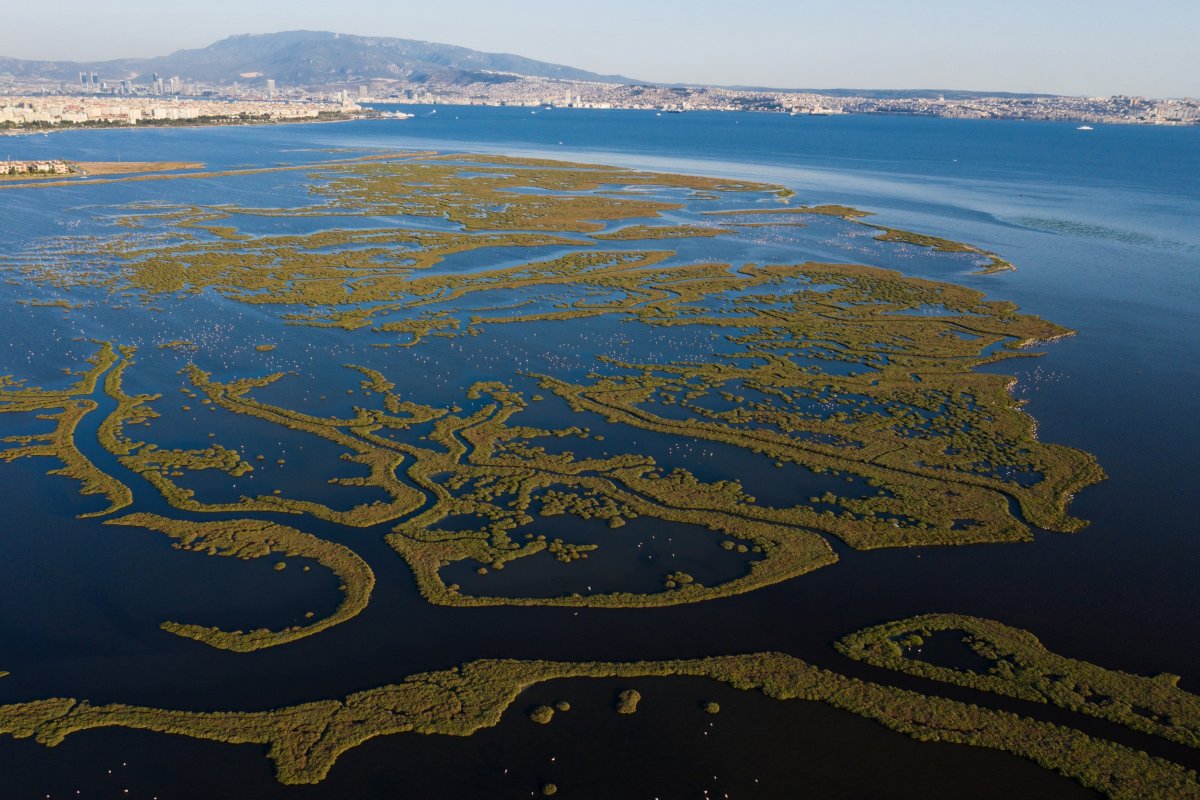 Река Амур Хабаровск
