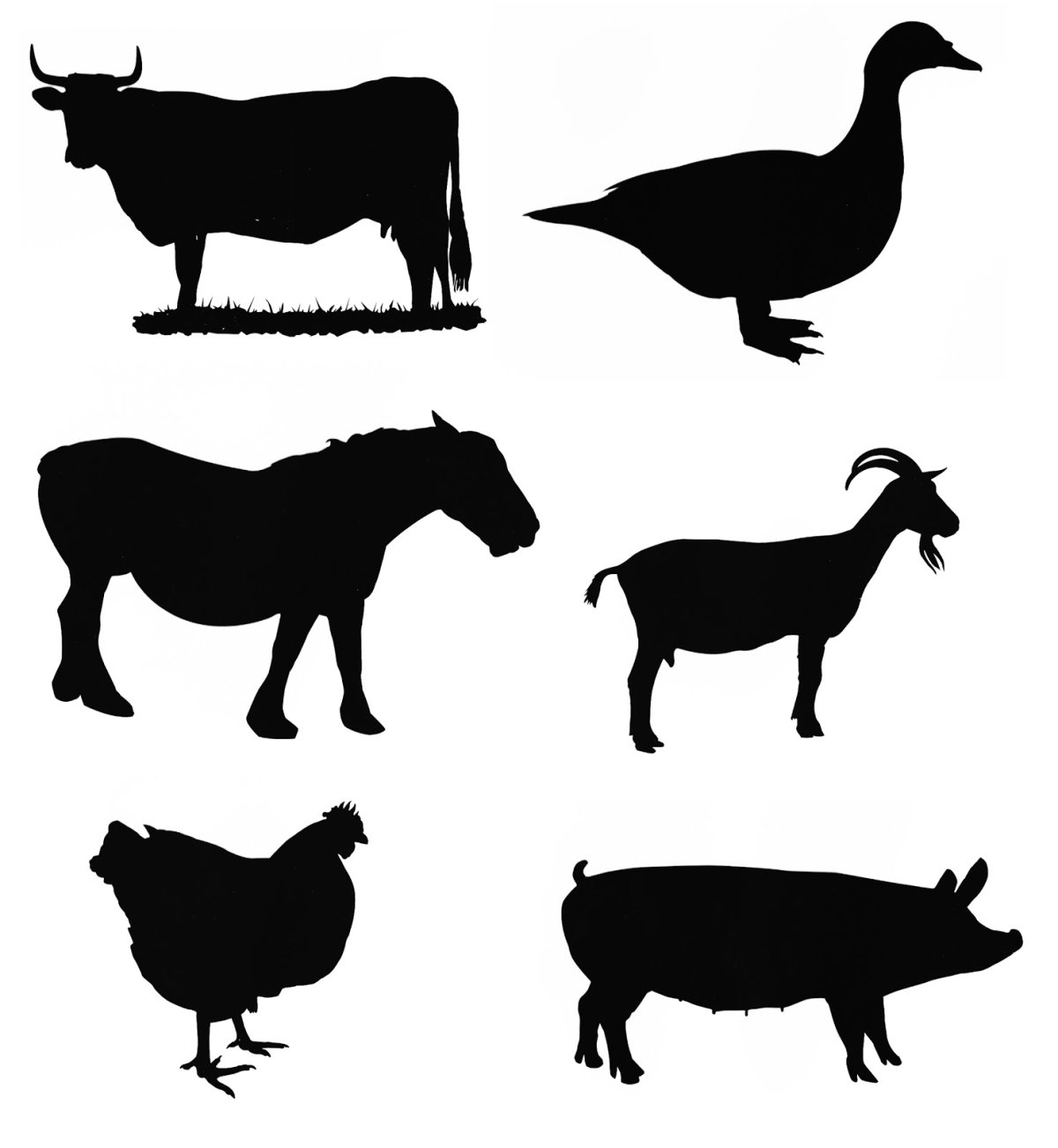 Силуэты домашних животных для детей
