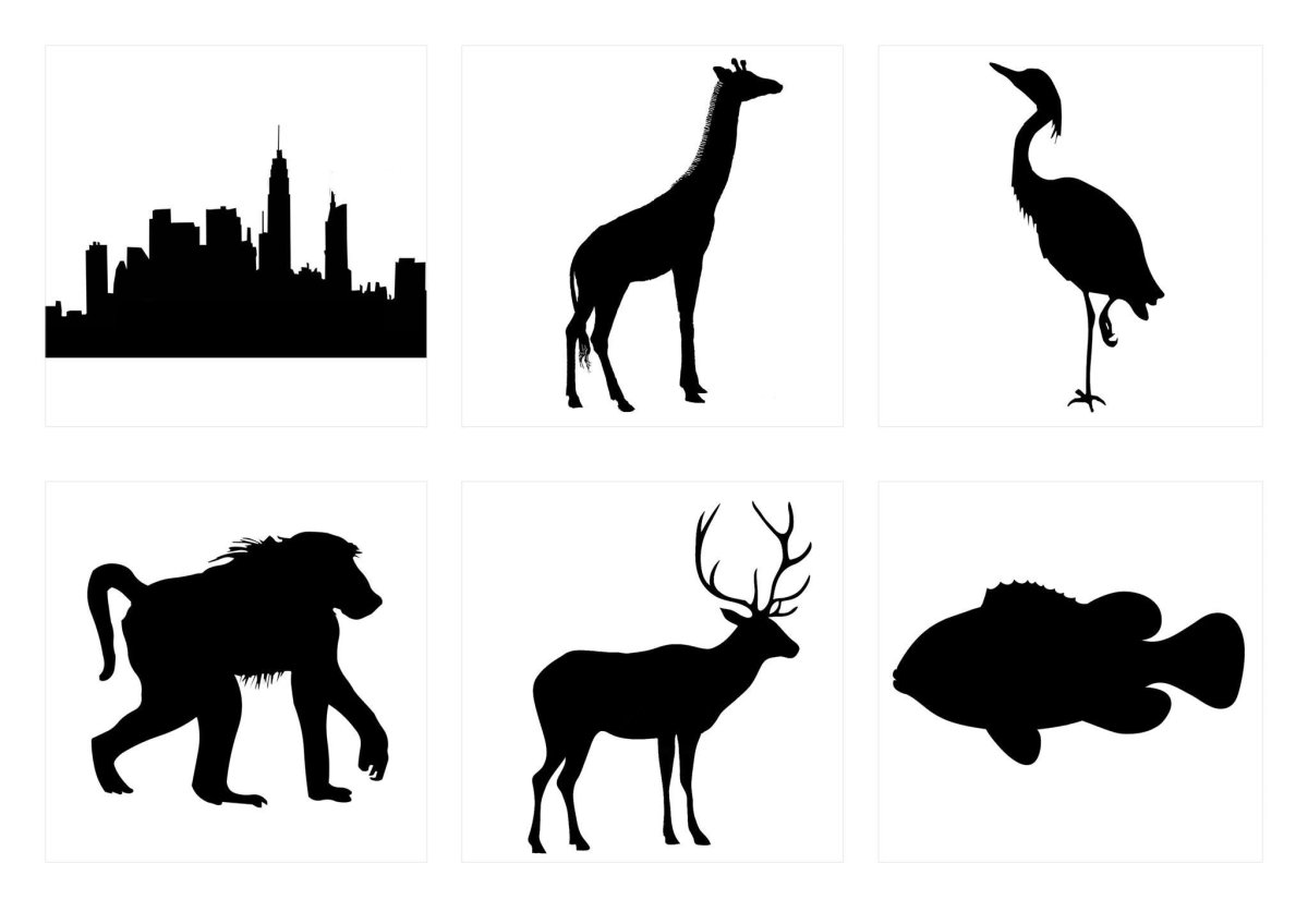 Силуэты природы