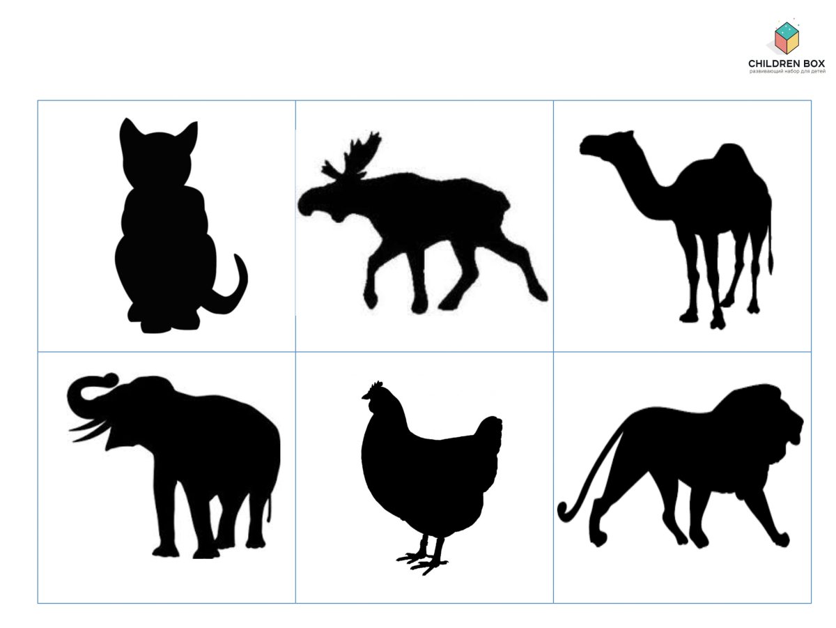 Дикие животные тени