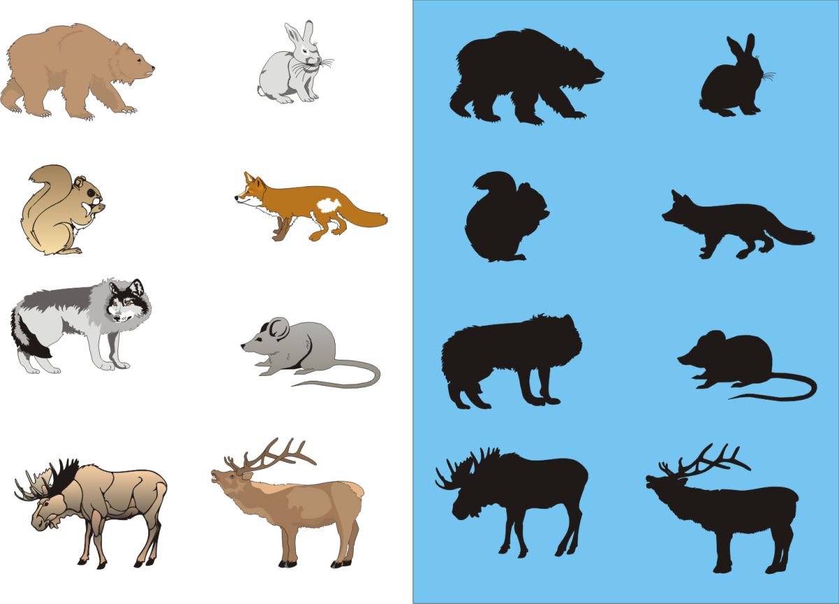 Чья тень Дикие животные