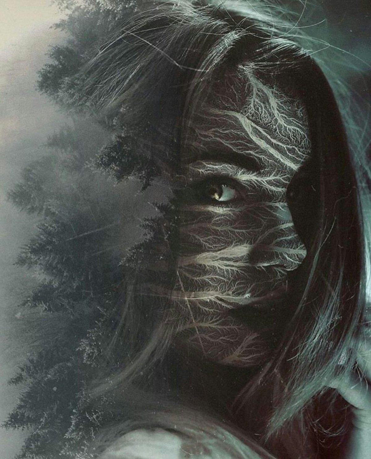 Эван Лазар фото