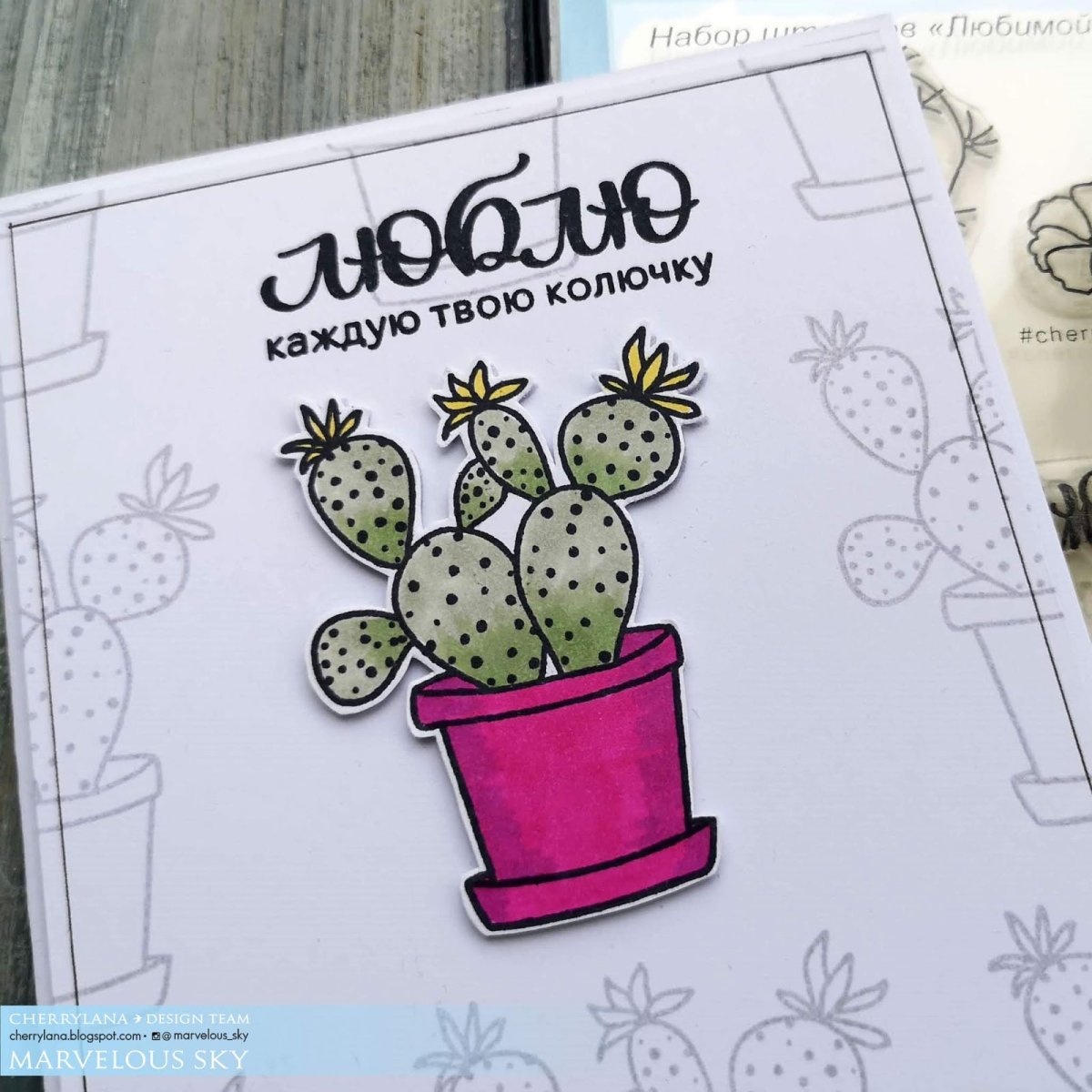 Дюдюка Барбидокская