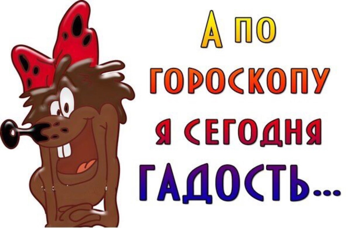 Ежик я тебя люблю