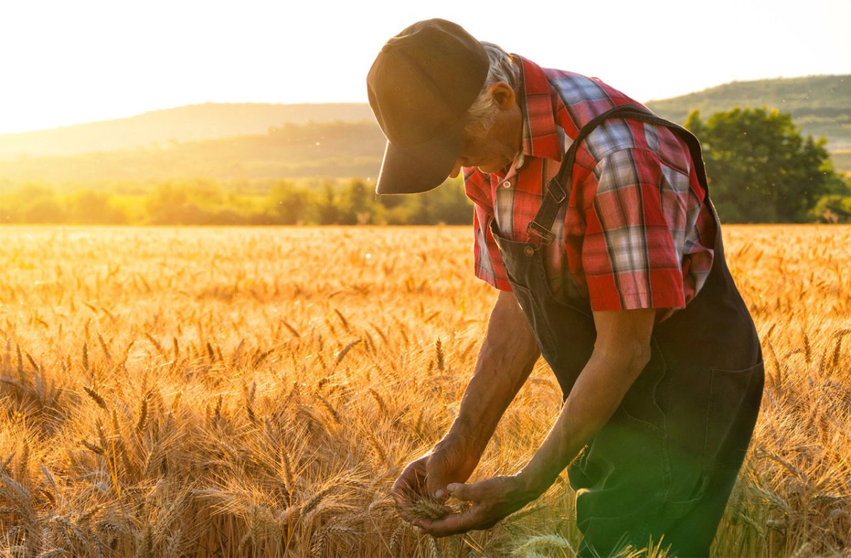 Агроном в поле