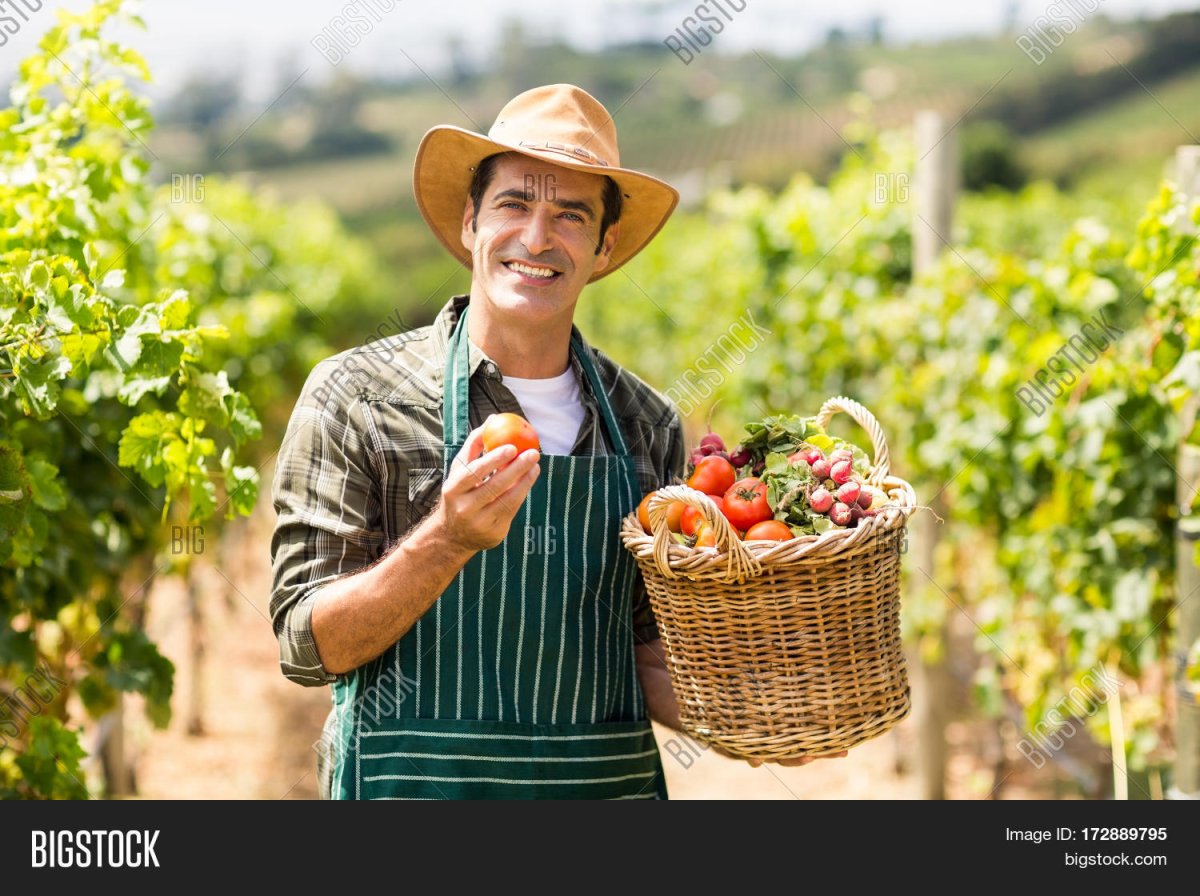 Фермер с корзиной овощей