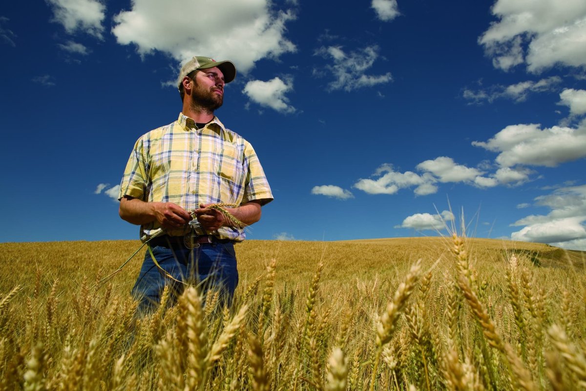 Фермер в Америке