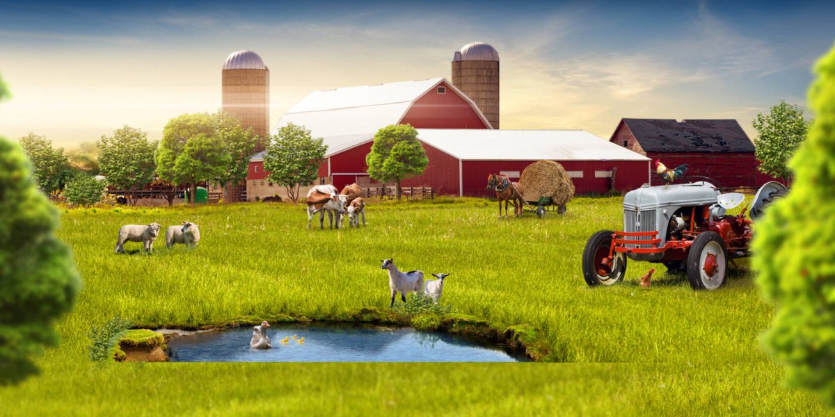 Крестьянское (фермерское) хозяйство (КФХ)