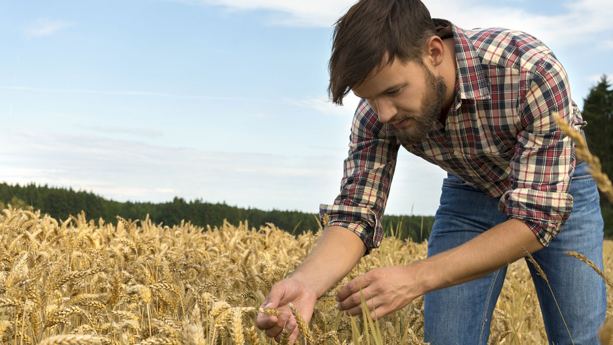 Молодой фермер