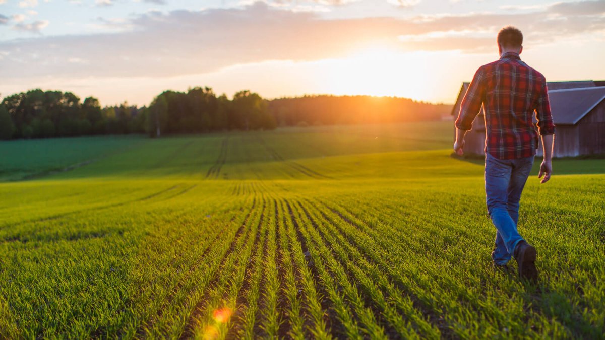 Фермер в поле на закате