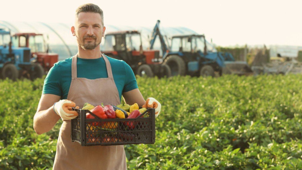 Хозяйство фермера