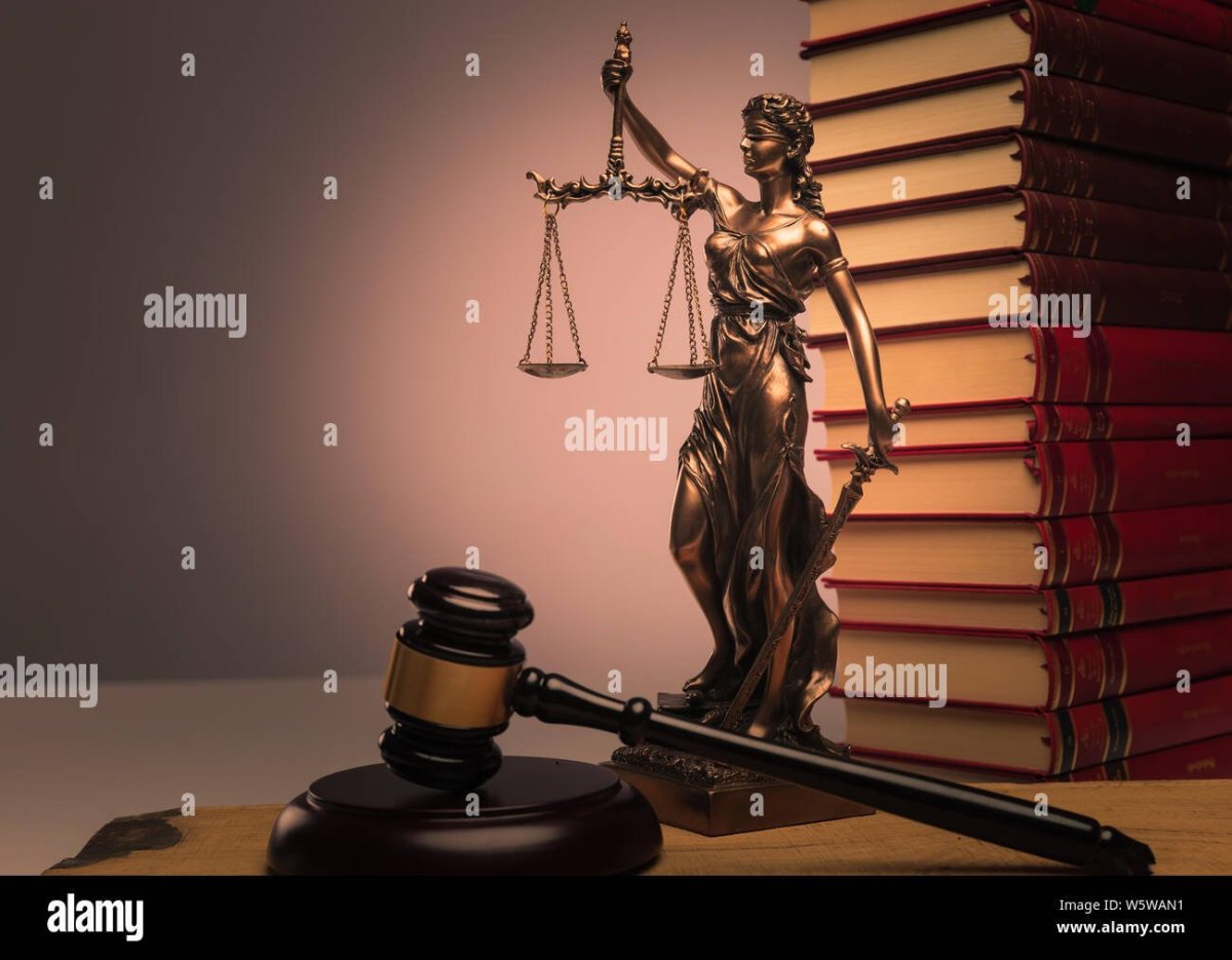 Профессия адвокат