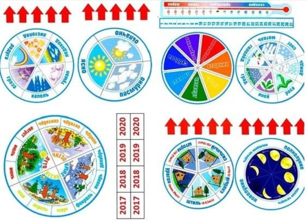 Уголок природы плакат