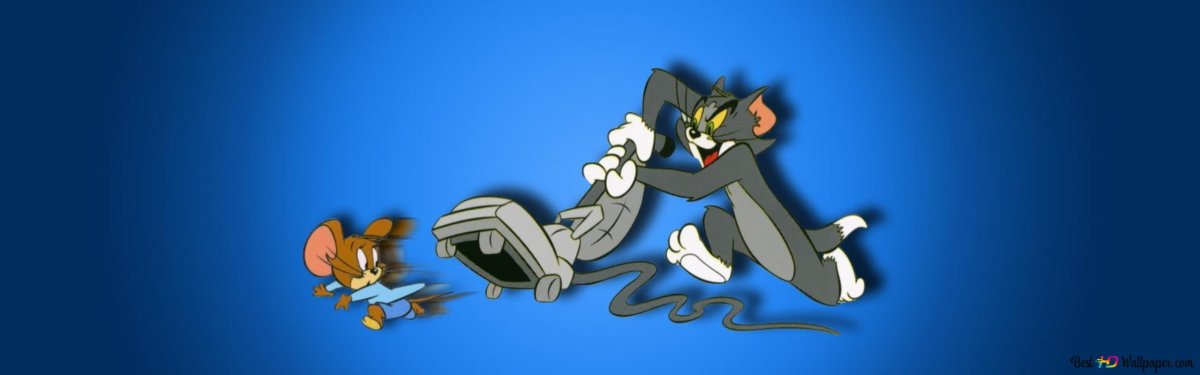 Том и Джерри в погоне